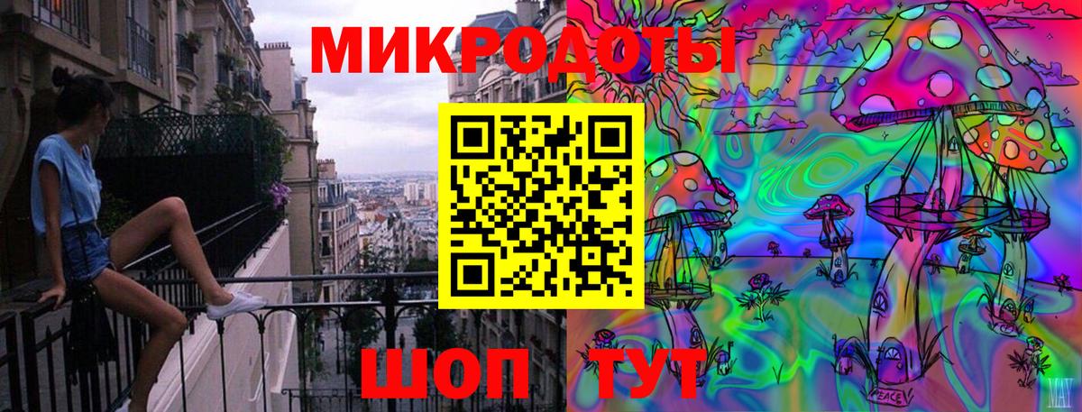 Галлюциногенные грибы Psilocybe Лобня